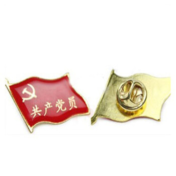 斯图(sitoo) 标准型中国少先队队徽 徽章胸章 党