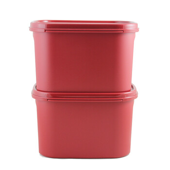 特百惠Tupperware 喜洋洋迷你腌泡保鲜盒套装2件套 喜庆红 1.9L/个