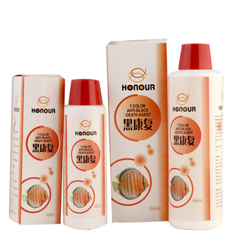 鱼之宝七彩神仙鱼黑复康 孔雀鱼腹康 观赏鱼 热