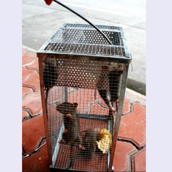 一口米 老鼠笼子家用捕鼠器连续捕鼠笼捉笼子捕夹超声