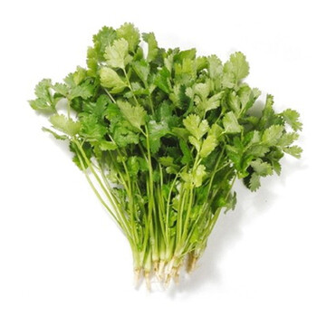 原野 蔬菜种子春季种 夏播家庭阳台盆栽地栽蔬