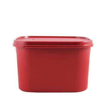 特百惠Tupperware 喜洋洋迷你腌泡保鲜盒套装2件套 喜庆红 1.9L/个