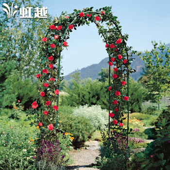 【虹越】拱门爬藤支架 daim系列 庭院花园爬藤植物拱形装饰花架 120cm