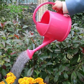 老花农 家庭园艺彩色洒水壶浇花喷壶大容量3.