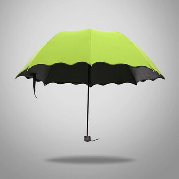晴雨两用遇水开花公主雨伞 防晒伞三折伞遮阳伞防紫外线太阳伞 黑胶黄绿
