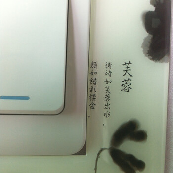 
                                        一品尚居 夜光开关贴 墙贴 装饰贴 开关装饰品 开关周边保护 可擦洗 蓝玫瑰                