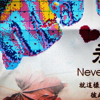 
                                        鸿胤蒙娜丽莎新款3D十字绣汽车抱枕一对方枕套情侣款卧室枕头套汽车靠枕沙发靠垫印花系列刺绣 66032-66033一对 长0.46米*宽0.46米                