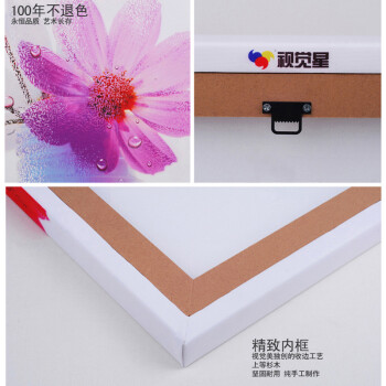 
                                        视觉星装饰画电表箱画卧室床头客厅壁画纸挂画油画无框画五联分片画 彩色玫瑰 40x60x2 30x80x2                