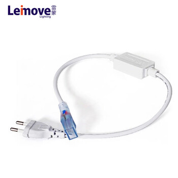 雷蒙照明leimove led灯带5050贴片客厅吊顶软灯条 配用插头