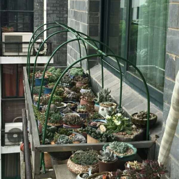 夏季遮荫花房多肉植物遮阳网阳台露养温室花房隧道式暖房花棚 长150*