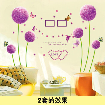 
                                        视觉星墙贴装饰画电表箱画卧室床头客厅壁画沙发背景墙纸挂画油画无框画有框花朵 银狐线框两幅 60x80                