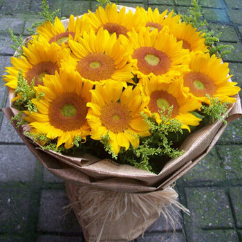 花锦集11朵向日葵情人节礼物鲜花速递全国北京深圳广州上海成都珠海