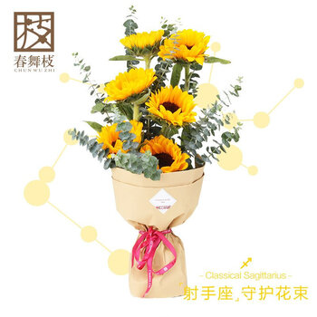 春舞枝向日葵花束射手座星座守护花