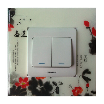 
                                        一品尚居 夜光开关贴 墙贴 装饰贴 开关装饰品 开关周边保护 可擦洗 蓝玫瑰                