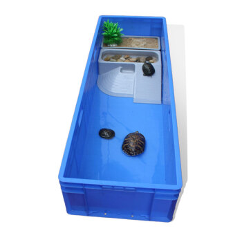 plastic turtle tank