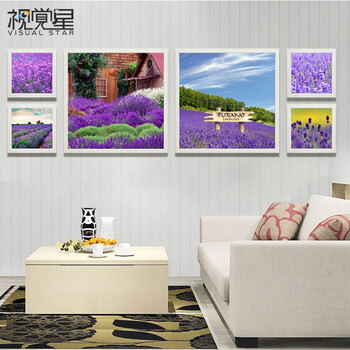
                                        视觉星现代简约客厅装饰画电表箱画卧室床头挂画餐厅壁画油画摆件照片墙薰衣草 C款 白色L框70x70x2+32x32x4(一套)                