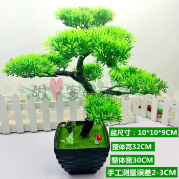 绿植物迎客松松树盆景室内家居装饰盆栽小摆件 黄山树万年青b款(黑盆)