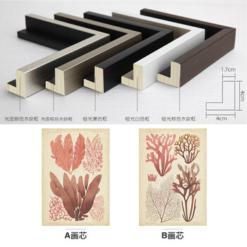 时黛 美式客厅装饰画有框 沙发背景墙画餐厅壁画玄关挂画卧室床头画 珊瑚海 SD088 6折 哑光棕色木纹A画芯75*105