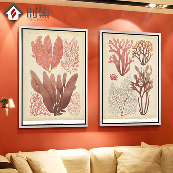 时黛 美式客厅装饰画有框 沙发背景墙画餐厅壁画玄关挂画卧室床头画 珊瑚海 SD088 6折 哑光棕色木纹A画芯75*105