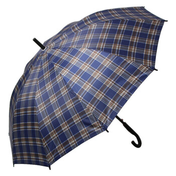 
                                        天堂伞 加大加固格子自开直杆商务晴雨伞 蓝格 170E                