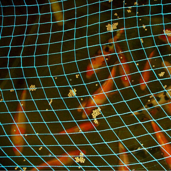 创业折叠鱼池锦鲤鱼缸龙鱼缸暂养池水池移动养