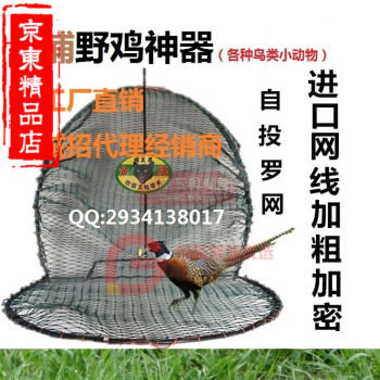 野鸡'扑捉器黄鼠狼捕抓器诱捕笼器捕抓捉猫笼捕猫器捉猫兔子笼子 20