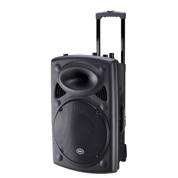 
                                        新科(Shinco)T515 户外广场舞音响 蓝牙拉杆音箱移动扩音器双麦克风15英寸                