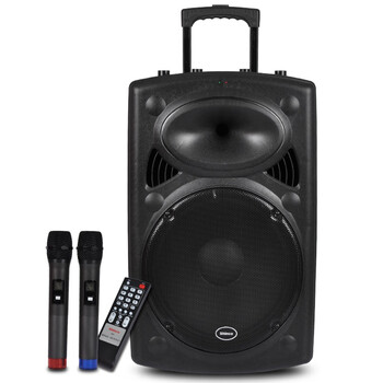 
                                        新科(Shinco)T515 户外广场舞音响 蓝牙拉杆音箱移动扩音器双麦克风15英寸                