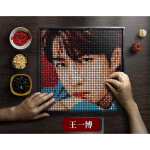 乐高lego积木定制肖战王一博猫王钢铁侠画制挂像素画拼图拼装