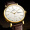 罗宾尼（LOBINNI）手表男士全自动机械表简约钢带日历品牌名表12025 【2022新钢带款】金壳白面钢带