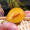 京鲜生 智利进口西梅 J级500g装 果径约33-36mm 智利西梅 生鲜水果