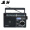 熊猫(PANDA) T-09三波段插卡式（USB SD TF卡)收音机 MP3播放器 老人插卡音响 半导体