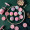 杰凯诺 手压式50g月饼模 冰皮月饼模具 绿豆糕模具 8个花片
