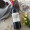 拉菲酒庄（CHATEAU LAFITE ROTHSCHILD）【法国名庄】1855一级庄小拉菲珍宝副牌原瓶进口干红葡萄酒 750ml 2015年拉菲副牌 JS:94分