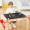 特宝儿 二合一桌式儿童画板多功能黑板 双面写字板白板男孩女孩儿童玩具学习桌绘画工具早教节日礼物礼盒