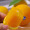 京鲜生vitor澳橙 澳大利亚脐橙/橙子 2kg礼盒装 单果180g起 新鲜水果