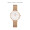 丹尼尔惠灵顿（DanielWellington）DW手表女 简约欧美表钢带石英女士手表520礼物送女友DW00100219