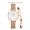 丹尼尔惠灵顿（DanielWellington）DW女表28mm欧美简约白盘石英腕表生日礼物DW00100219+小手镯