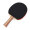 红双喜DHS 横拍 H2002双面反胶健身型乒乓拍附带拍套+乒乓球，单块装