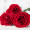 维纳斯鲜花速递红玫瑰花束母亲节520情人生日礼物全国同城配送女友老婆 缪斯女神-52朵红玫瑰皇冠花束