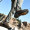 探路者（TOREAD）徒步鞋 男女士防滑耐磨登山鞋 秋冬季防泼水户外鞋 TFAA91057 野牛棕/橙黄（男）40码