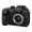 松下GH5S微单相机 数码相机（Panasonic）vlog相机 专业视频微单C4K 60P 双原生ISO V-LogL预装 