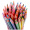 真彩(TRUECOLOR)12色水溶性六角杆彩色铅笔彩铅 涂色填色彩笔绘画上色笔 学生成人艺术写生笔 2盒/4586