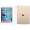 Apple iPad Air 2 平板电脑 9.7英寸（16G WLAN版/A8X 芯片/Retina显示屏/Touch ID技术 MH0W2CH）金色