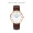 丹尼尔惠灵顿 (DanielWellington )手表DW女表34mm金色边皮带超薄女士石英手表带日历DW00100094