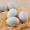 海鸭蛋农家新鲜海边红心鸭蛋 单个重60-80g 20枚 普通装