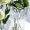 Delisoga 透明玻璃花瓶 冰恋款大号 欧式简约创意干花水培插花鲜花工艺品摆件 家用客厅办公桌装饰 轻奢家居