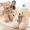 ZAK! 毛绒玩具泰迪熊公仔陪伴抱抱熊猫玩偶送女生生日情人节礼物布娃娃 领带熊米色100cm