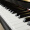 珠江钢琴（PEARLRIVER）家用教学初学考级立式专业演奏钢琴UP119QS