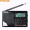 德生（Tecsun）PL-606高考听力四六级收音机 全波段便携式收音机 老年人半导体（黑色）